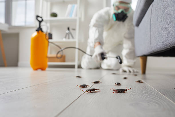 Trusted Fumigation Services service in Plymouth, OH - Nex Pest Control