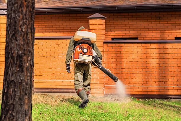 Trusted Cockroach Control service in Plymouth, OH - Nex Pest Control